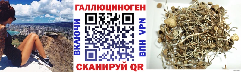 Псилоцибиновые грибы Cubensis Мамоново
