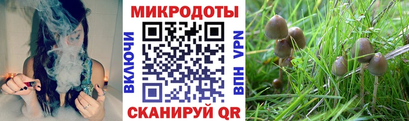 Галлюциногенные грибы мухоморы  где купить наркоту  Мамоново 